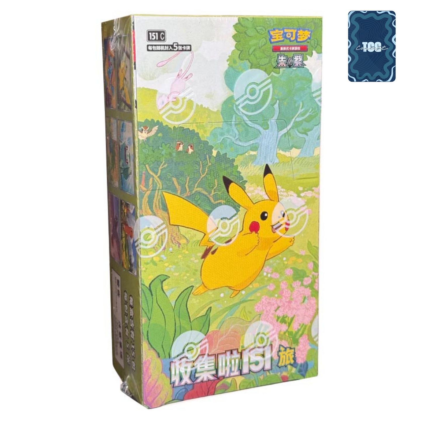 Display 151C CHINOIS